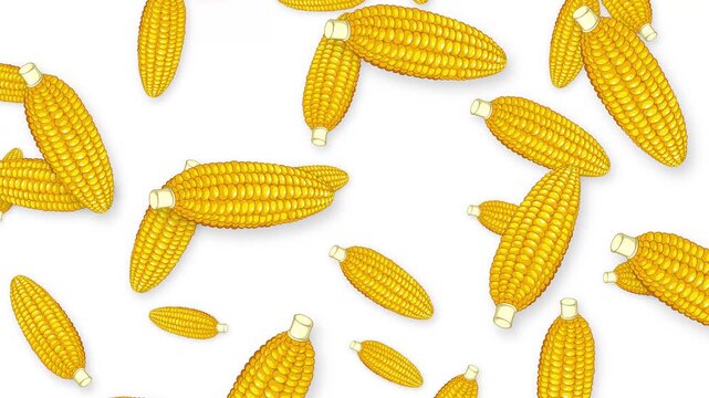 Falling Yellow Corn Cobs Animation on Isolated White Background