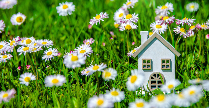 The symbol of the house stands among white daisies
