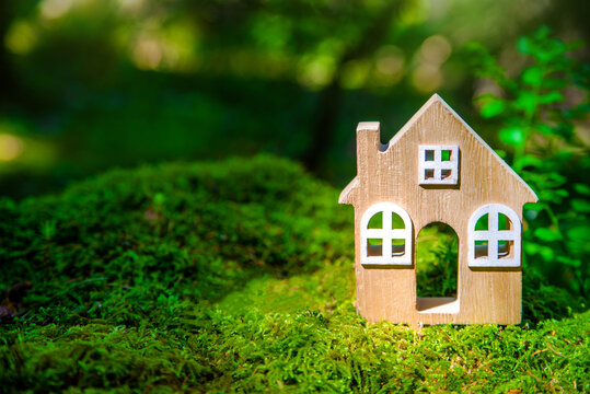 the symbol of the house stands on green moss
