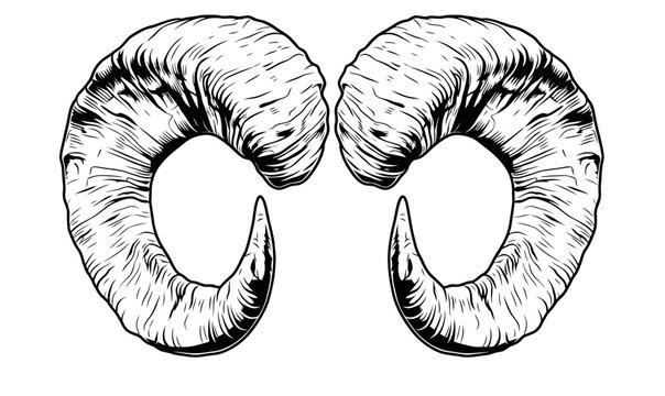 Hand drawn ram horns vector illustration isolated on white background