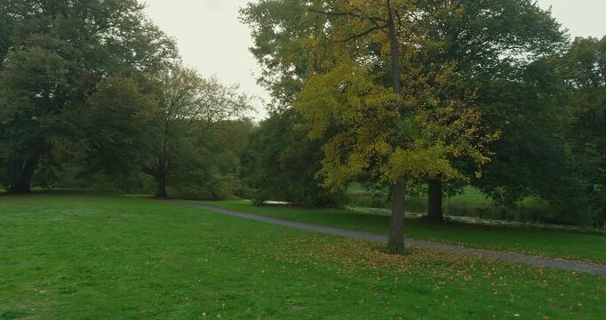 A gravel path runs through a park, garden with fallen leaves and trees in The Hague, Netherlands, Europe. The path is surrounded by green lawn and mature trees with yellow and brown foliage.