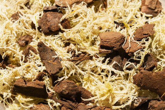 A blend of dried sphagnum moss and tree bark chunks commonly used as a potting mix