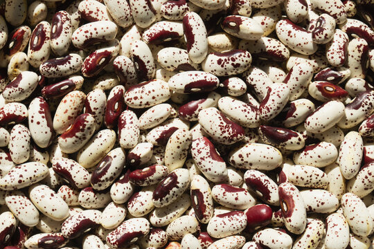 Close view of various beans with red markings on a light background