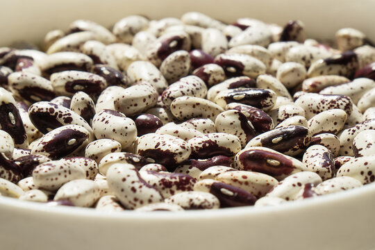 Beans arranged in a bowl showing many types of beans with a macro focus on their details