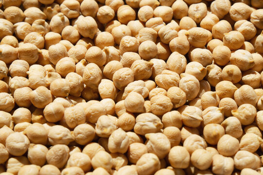 Close view of dry chickpeas (garbanzo beans) on a flat surface showing texture and shape