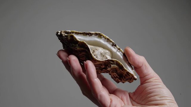 Open seafood bivalve rests securely in adult palm, demonstrating natural shell layers under soft illumination. Gentle hand positions raw oyster, conveying appreciation for gourmet delicacy.