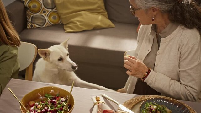 Senior Caucasian woman feeding dog treat after shaking paw at festive dinner table. Visual content ideal for pet food commercials and family holiday marketing campaigns