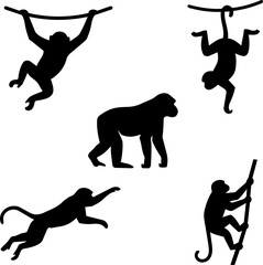 5 Different Poses of the Black Monkey Shadow © Aekkarin Muisarttra