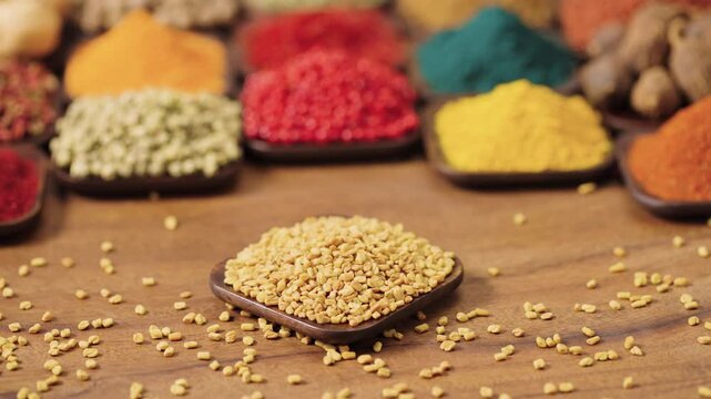 legume plant fenugreek seeds in a square bowl on a wooden table, surrounded by various spices and herbs.