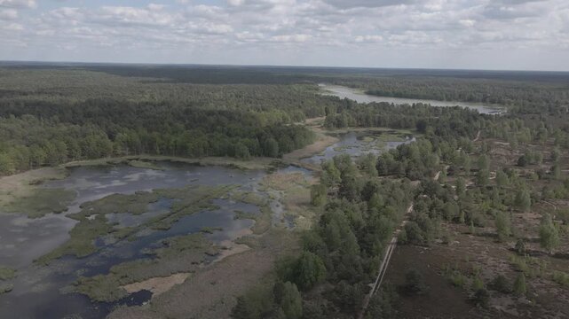 Wide panoramic aerial drone shot over a vast wetland lake surrounded by dense green pine forest and heathland near Lychen, Brandenburg, Germany.