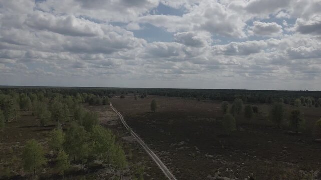 Wide aerial drone shot over expansive heathland with sparse birch trees and a unpaved dirt path under a cloudy sky near Lychen, Brandenburg, Germany.