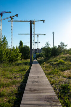 Wooden boardwalk runs through greenery toward construction cranes in the distance showing urban development beside vegetation under a clear sky