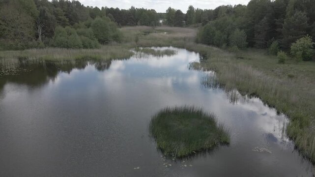 Panoramic aerial drone shot of a serene wetland lake surrounded by dense pine forests and reed beds under a cloudy sky near Lychen, Brandenburg, Germany.