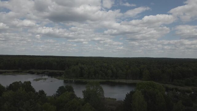Aerial drone shot over dense green forest and natural lake wetlands under a cloudy blue sky in the countryside near Lychen, Brandenburg, Germany.