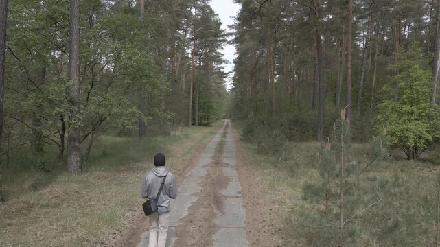 Drone shot following a man walking down a concrete panel road through a pine forest with high trees near Lychen, Brandenburg, Germany.