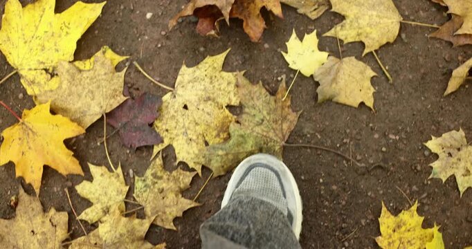 Feet walking through dry autumn leaves &mdash; the pleasant rustling of maple and other leaves adds a natural sound layer; warm autumn day, soft light, calm Lifestyle background. 