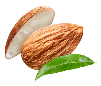 Almond with leaves element composition. Fresh organic raw nut isolated on white background. Clipping path. Full depth of field