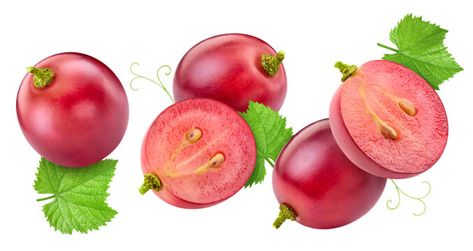 Flying grapes set with leaves for packaging. Fresh ripe levitation berries and green leaf isolated on white background with clipping path