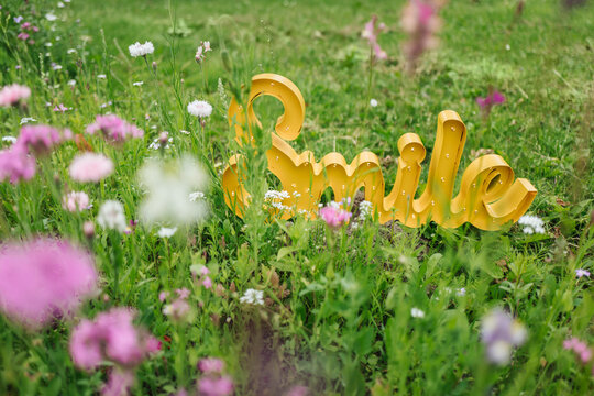 The word 'Smile' on field of flower
