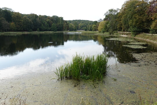 Les Etangs de Corot &agrave; Ville-d'Avray