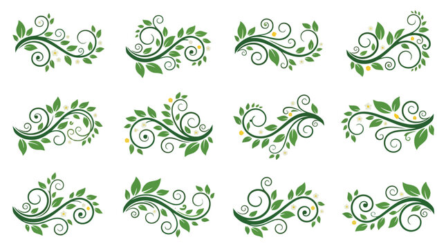 Elegant green leaf swirl borders set, botanical flourish ornaments, decorative organic floral swirls vector elements for wedding invitations