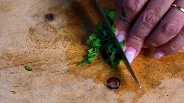 Closeup of Indian woman's hands chopping fresh green coriander leaves or dhaniya with a kitchen knife on a wooden cutting board, preparing aromatic herbs for traditional Indian cooking.