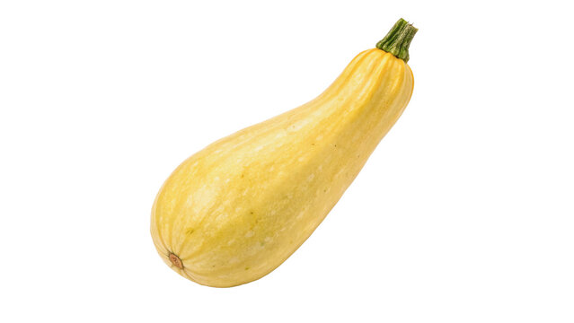Single fresh raw yellow zucchini squash vegetable isolated on transparent background