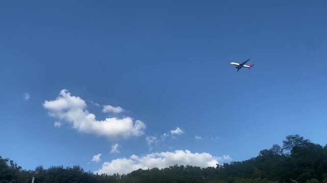 Commercial airplane flying through the blue sky over a green forest

