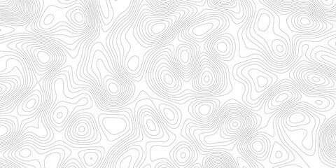 Seamless topographic contour line pattern with organic shapes topography elevation seamless abstract monochrome geometry cartography landscape background geographic structure minimalism © m