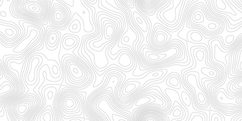 Minimalist digital topographic map elevation contour lines with topography elevation seamless abstract monochrome geometry cartography landscape background geographic structure minimalism © m