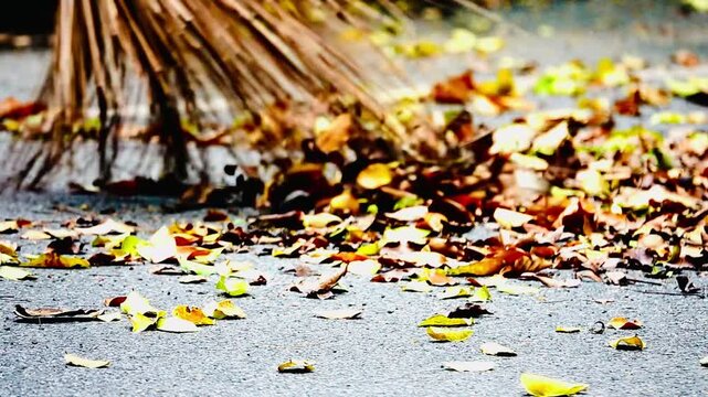 Supper slow 250fps A gardener sweeps dry autumn leaves from a paved outdoor area, collecting fallen foliage to maintain a clean and tidy landscape during the fall season.