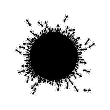 Black ants surrounding dark circular shape silhouette illustration