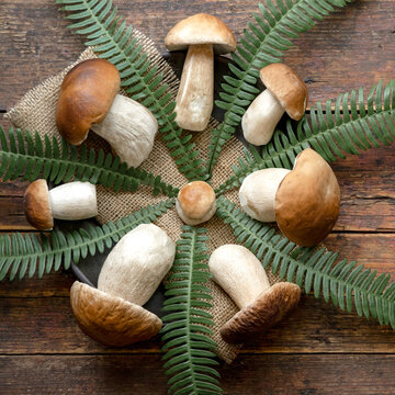 Fresh forest mushrooms, Boletus edulis (king bolete), penny bun, cep, porcini and green fern on old bowl, plate on the wooden dark brown table, top view background