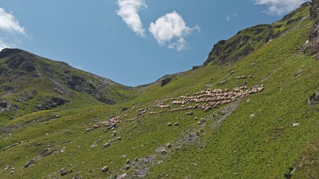 Empty Alpine Saddle Between Rugged Ridges