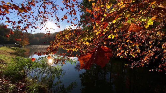 A beautiful, serene autumn landscape by the lakeside. Tree branches bearing golden, orange, and reddish leaves frame the calm lake, which is veiled in a light mist. 