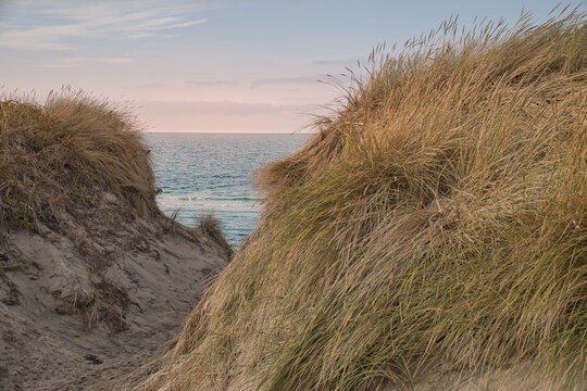 Dune path to the sea in warm evening light.