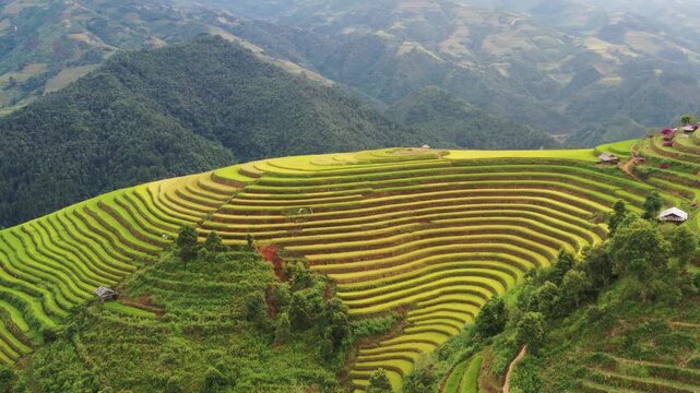 Cinematic drone pan of the surreal, untouched golden rice terraces in Lao Chai near Mu Cang Chai, Vietnam.