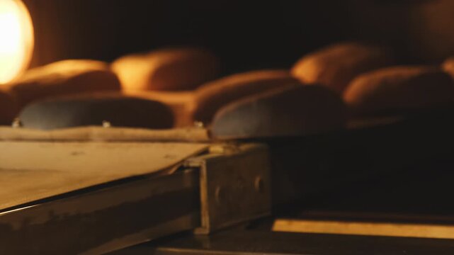 Wholegrain bread loaves places into hot electric oven in bakery closeup. Preparing delicious sourdough pastry with powerful stove in small shop