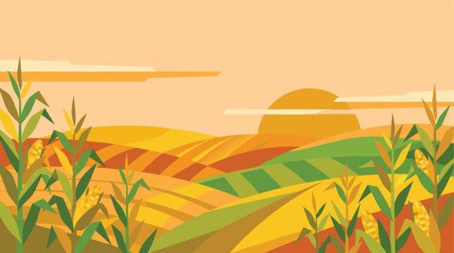 A sunset view of a corn field during a rural harvest season depicted in a colorful flat vector illustration for an agrarian environment