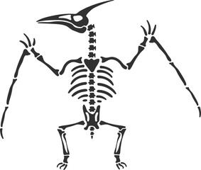 Pterodactyl skeleton outlining prehistoric flying reptile illustration © WinWin