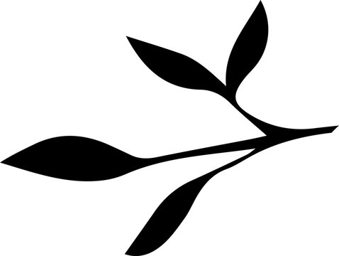 Minimalist black silhouette of a branch with leaves on a white background