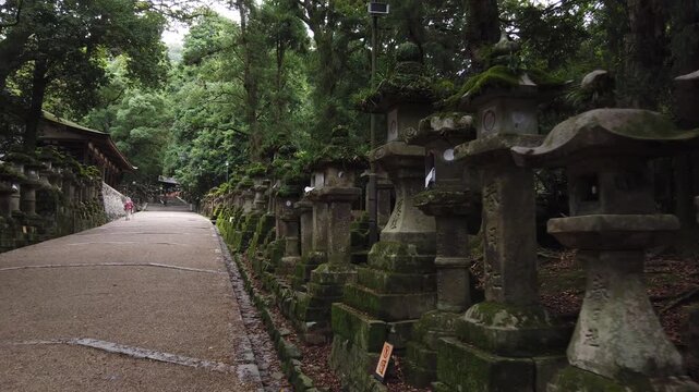 春日大社参道に並ぶ石灯籠と森の風景