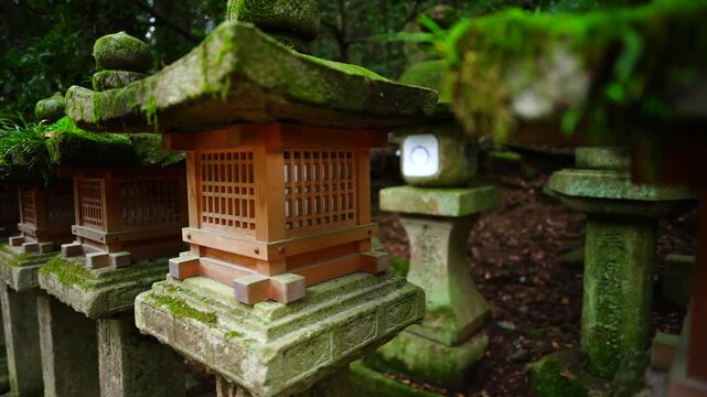 春日大社参道に並ぶ石灯籠と森の風景