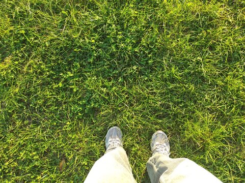 Top view of person feet in sneakers standing on green grass lawn. Point of view of man legs in casual pants on fresh meadow field background with copy space. Active lifestyle, morning walk and ecology