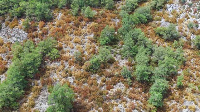 Aerial view of premature foliage yellowing and colorful dry mountain slopes due to severe heatwave near Ainsa, Pyrenees, Spain