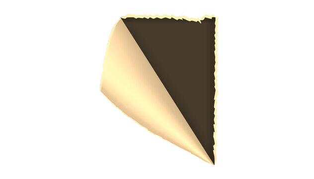 Peeling paper corner curl with golden yellow and brown back, transparent background PNG, page curl effect for mockups, banners, sale graphics and web design.