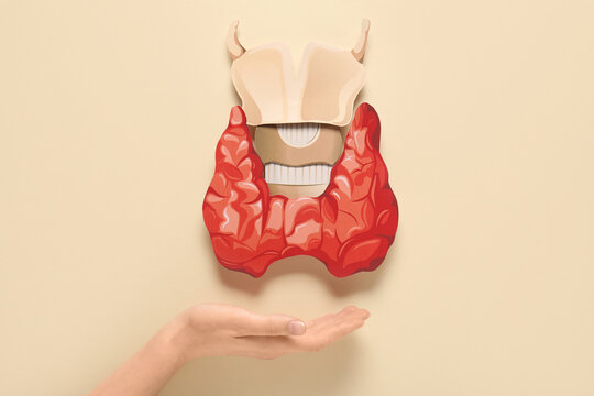 Thyroid health and endocrine system awareness, paper cutout model of human thyroid gland held in hand for medical education and hormone research