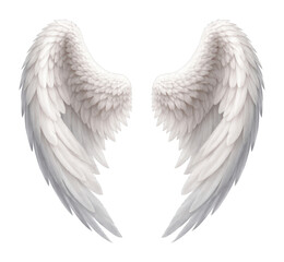 Fototapeta premium PNG Elegant white angel wings illustration.