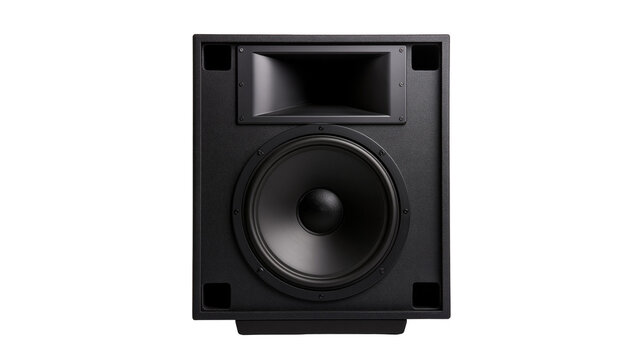 Black professional cinema loudspeaker with large woofer and rectangular horn tweeter