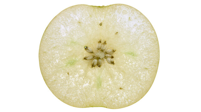 Fresh green apple slice cross section with visible seeds and juicy texture